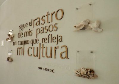 Parque Geoglifos de Pintados