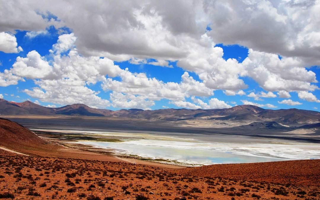 Aventura al Parque Nacional Salar del Huasco