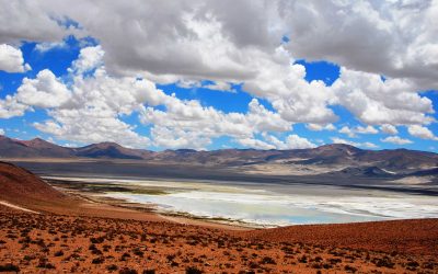Aventura al Parque Nacional Salar del Huasco