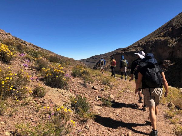 Tour Trekking Terapéutico Chusmiza