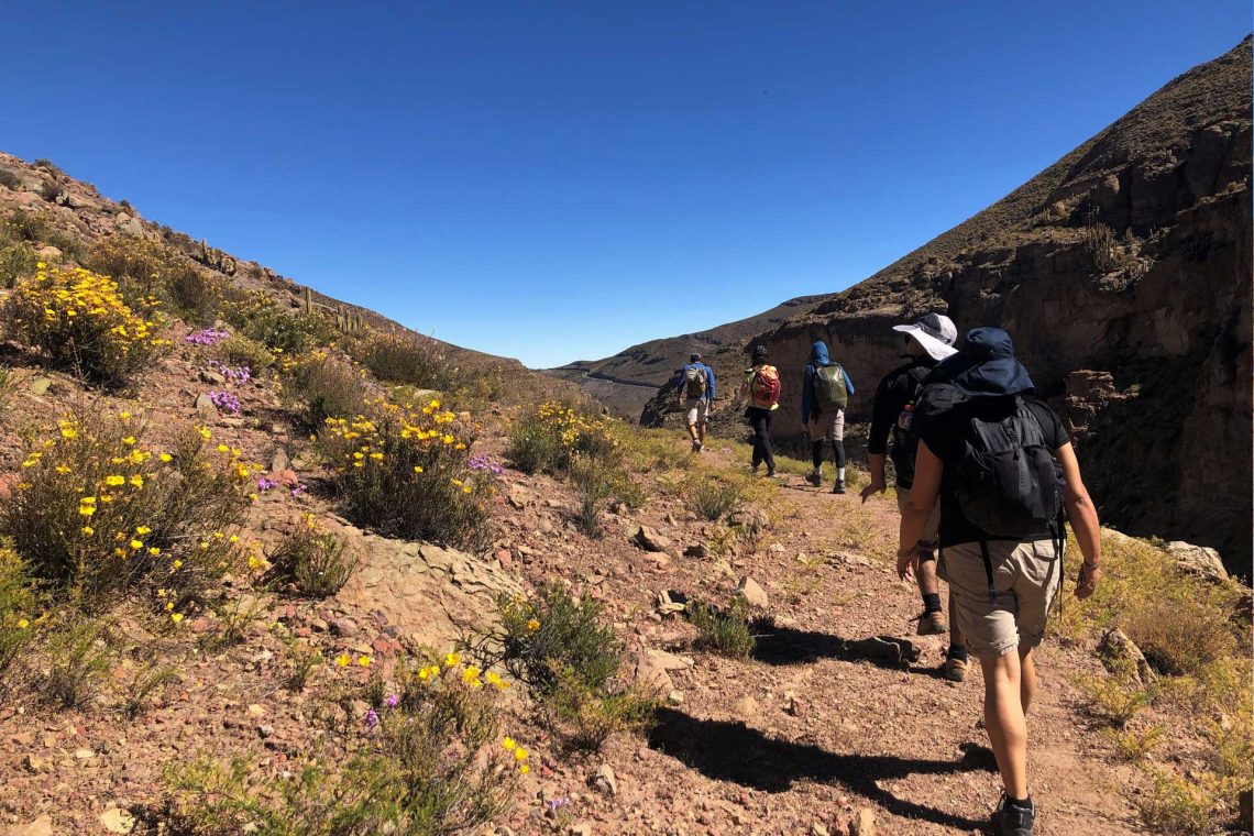 Tour Trekking Terapéutico Chusmiza