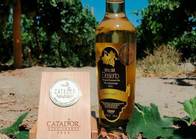 Tour ruta del Vino
