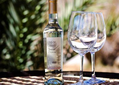Tour ruta del Vino