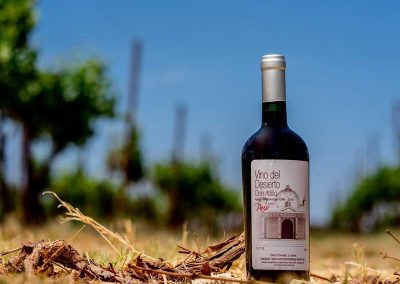 Tour ruta del Vino