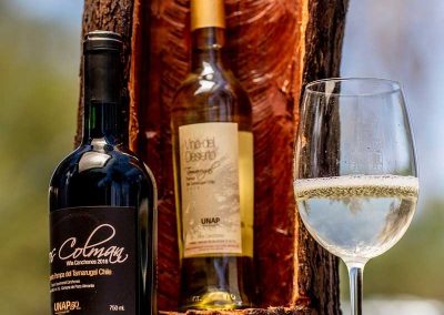 Tour ruta del Vino