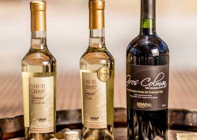 Tour ruta del Vino