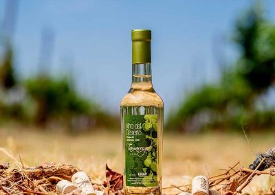 Tour ruta del Vino