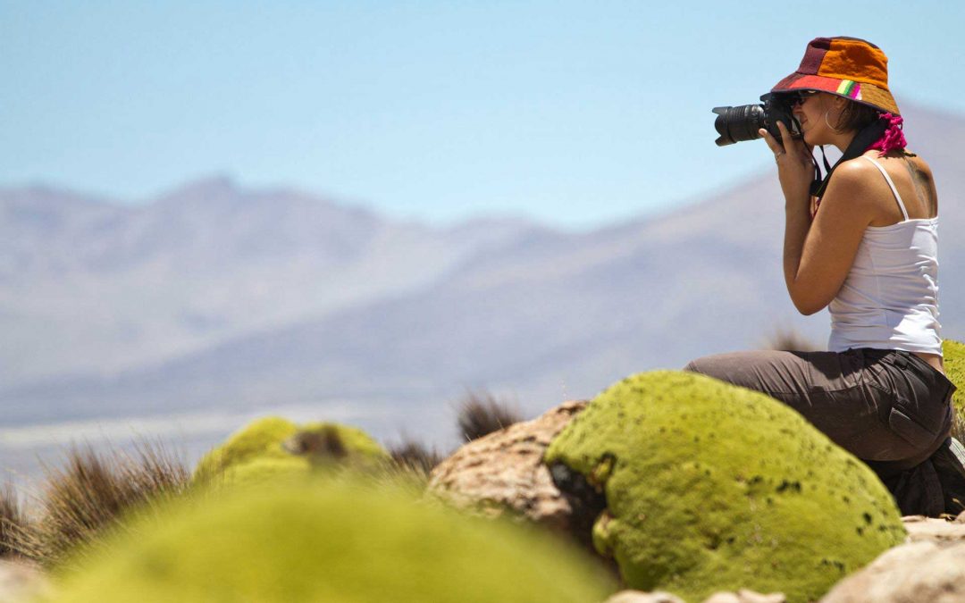 Parques Nacionales Altiplánicos Isluga & Lauca