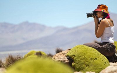 Parques Nacionales Altiplánicos Isluga & Lauca