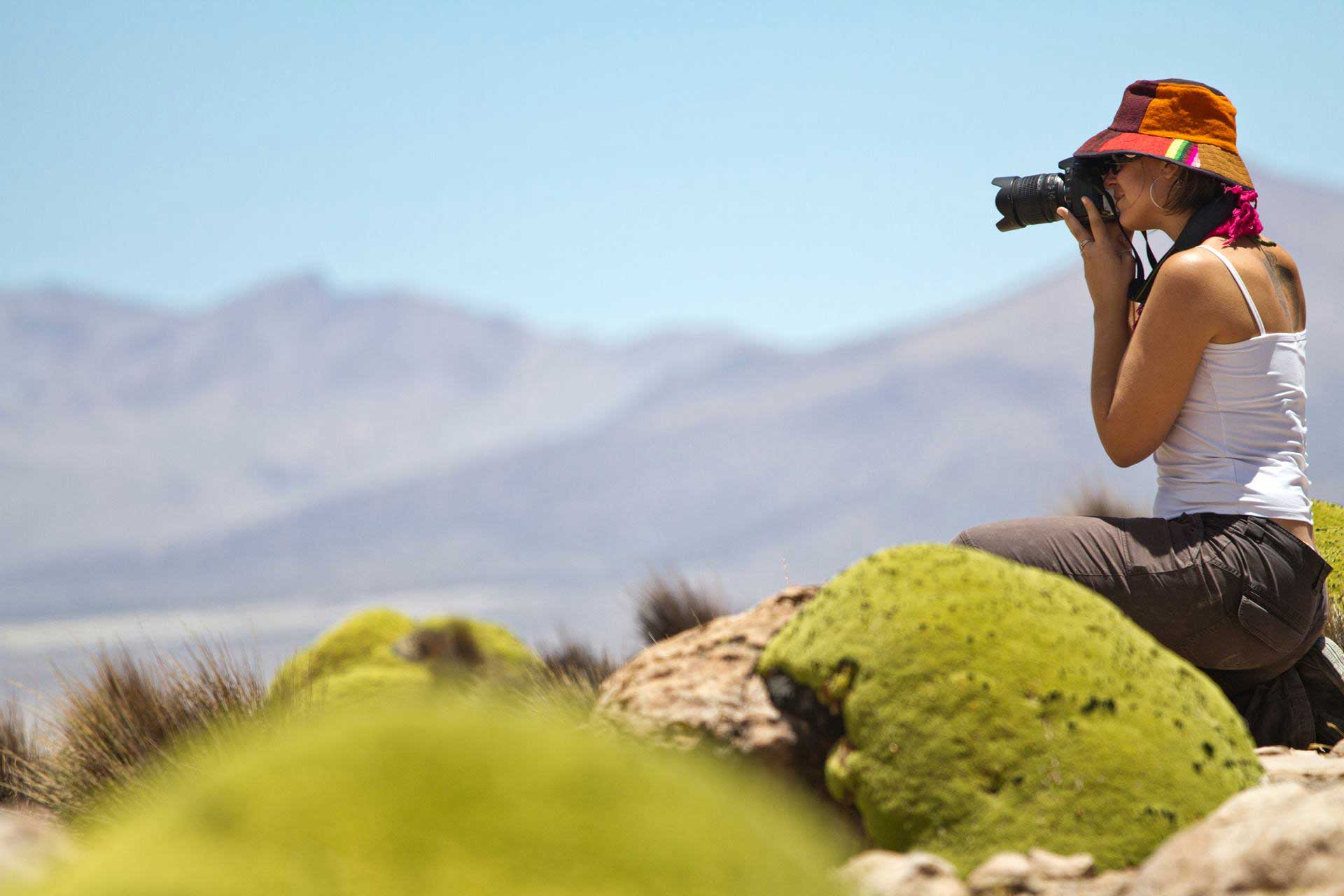 Parques Nacionales Altiplánicos Isluga & Lauca