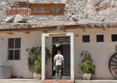 Excursión Oasis de Codpa