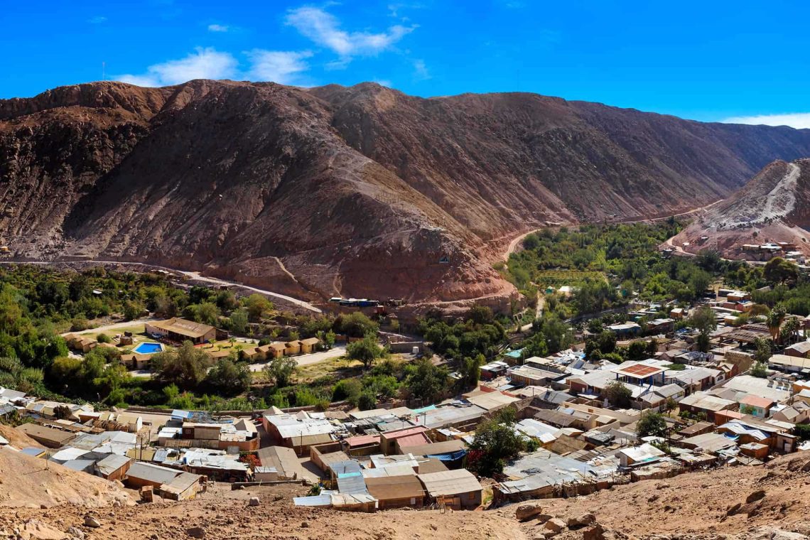 Excursión Oasis de Codpa