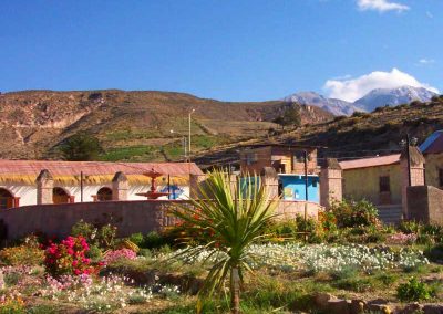 Excursión Socoroma, Putre & Termas de Jurasi