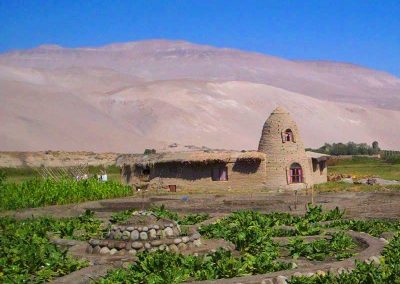 Tour Arqueológico - Intervalle Lluta & Azapa