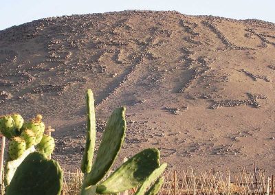 Tour Arqueológico - Intervalle Lluta & Azapa