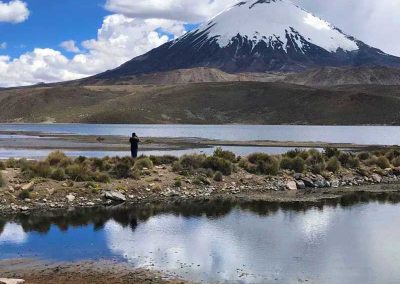 Parque Nacional Lauca, Lago Chungará