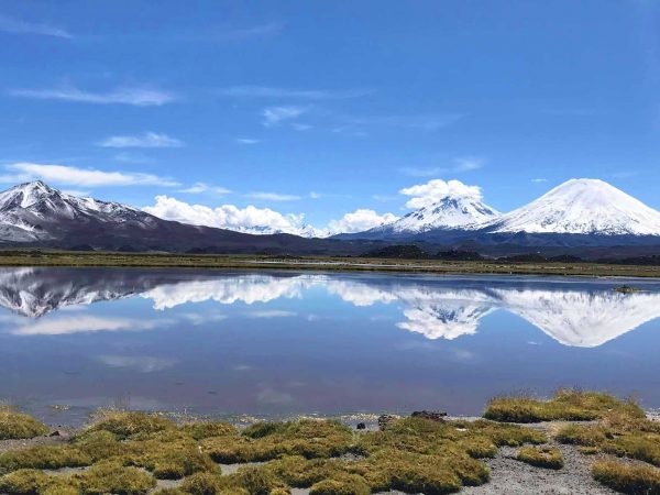 Parque Nacional Lauca, Lago Chungará