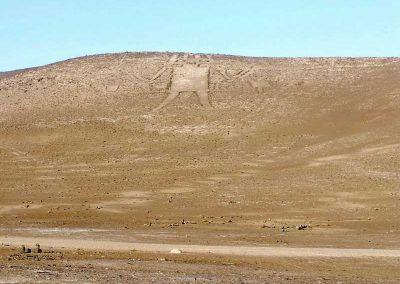 Excursión Ruta Arqueológica Iquique - Arica