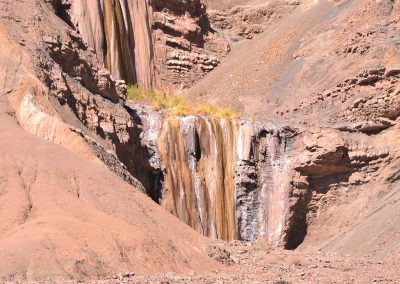 Excursión Salar de Llamara & Petrogiflos de Tamentica