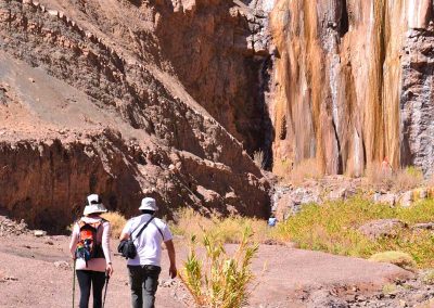 Excursión Salar de Llamara & Petrogiflos de Tamentica