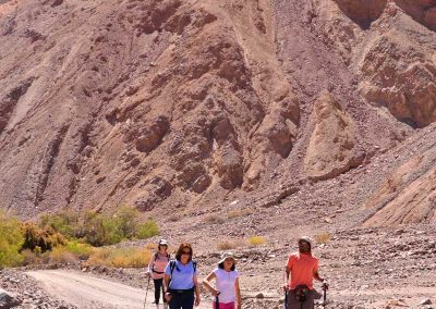 Excursión Salar de Llamara & Petrogiflos de Tamentica