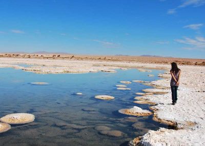 Excursión Salar de Llamara & Petrogiflos de Tamentica