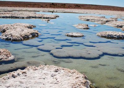 Excursión Salar de Llamara & Petrogiflos de Tamentica