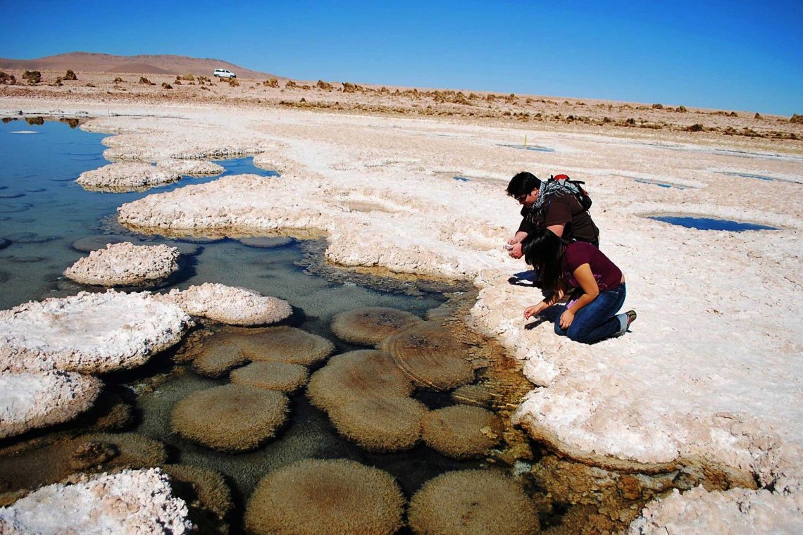 Excursión Salar de Llamara & Petrogiflos de Tamentica