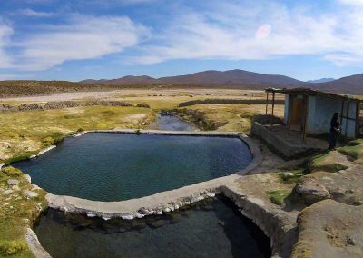 Ruta Altiplánica al Salar de Surire