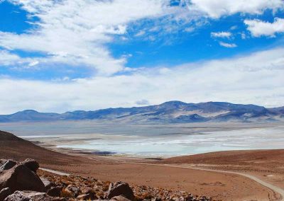 Salar del Huasco Parque Nacional