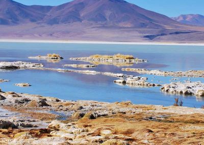 Salar del Huasco Parque Nacional
