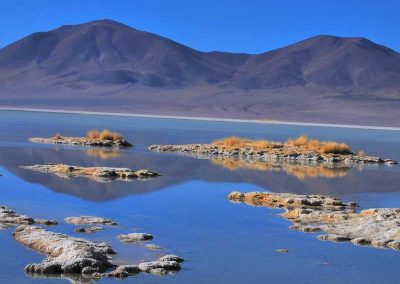 Salar del Huasco Parque Nacional