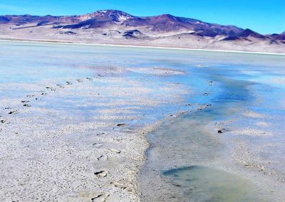 Salar del Huasco Parque Nacional