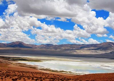 Salar del Huasco Parque Nacional