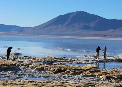 Salar del Huasco Parque Nacional