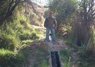 Tour a las Termas de Mamiña (SPA)