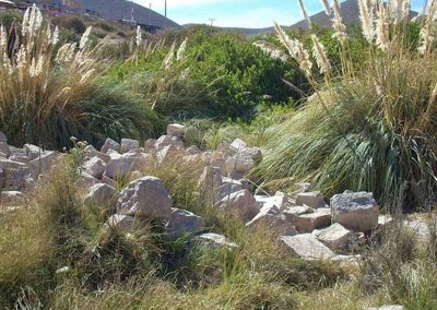 Tour a las Termas de Mamiña (SPA)