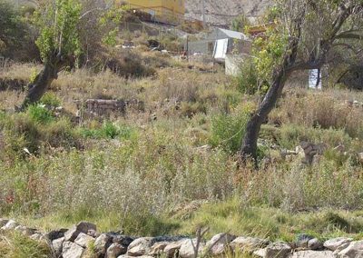 Tour a las Termas de Mamiña (SPA)