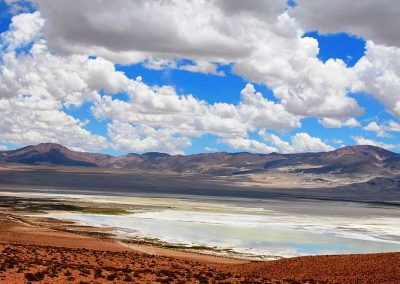 Tour al Salar del Huasco & Termas de Lirima + Oasis de Pica