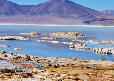 Tour al Salar del Huasco & Termas de Lirima + Oasis de Pica