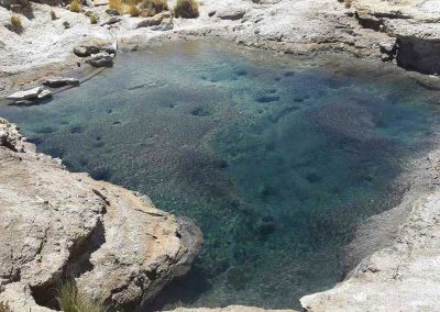 Tour al Salar del Huasco & Termas de Lirima + Oasis de Pica
