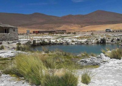 Tour al Salar del Huasco & Termas de Lirima + Oasis de Pica