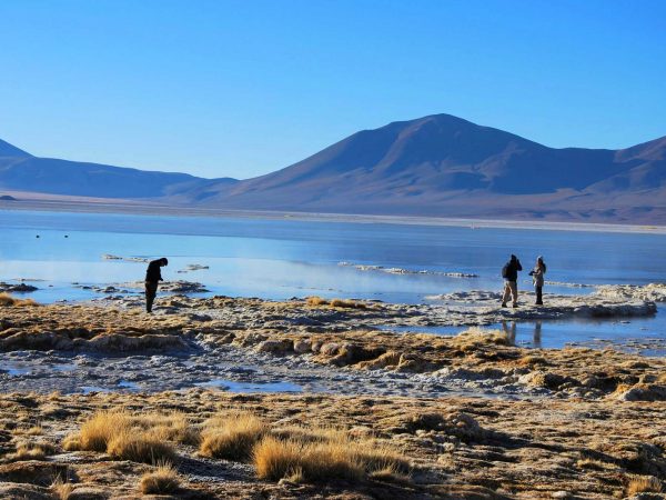 Tour al Salar del Huasco & Termas de Lirima + Oasis de Pica