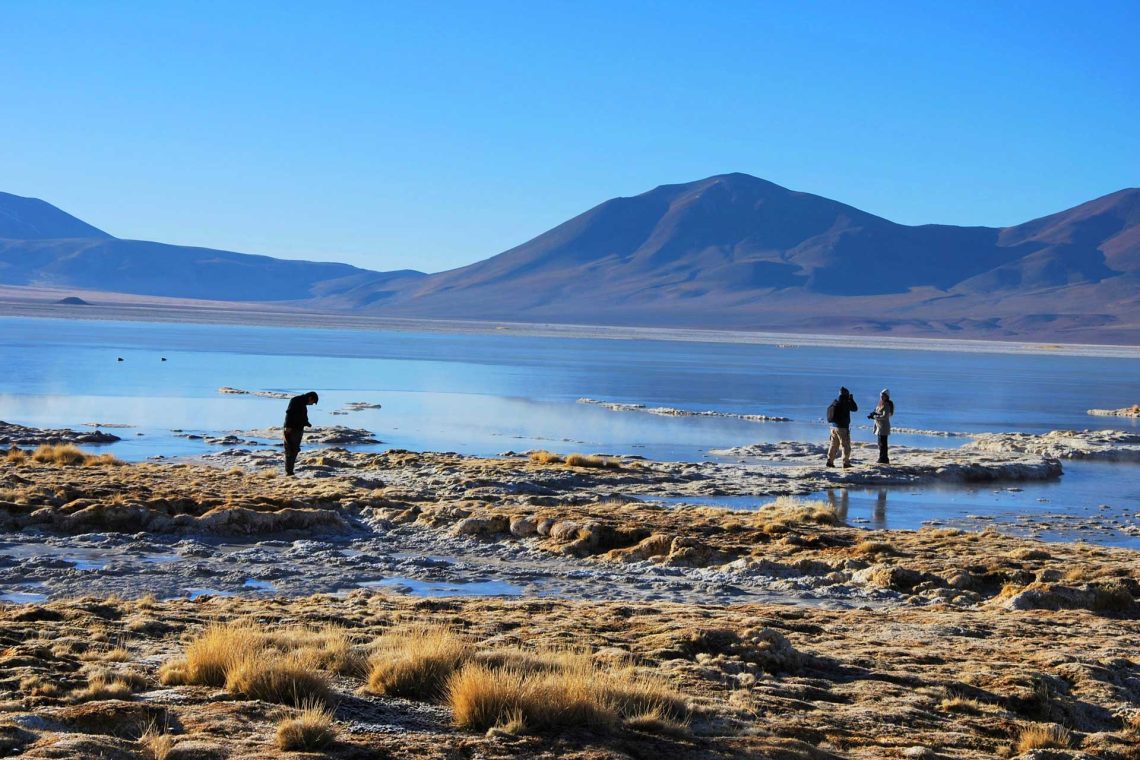Tour al Salar del Huasco & Termas de Lirima + Oasis de Pica