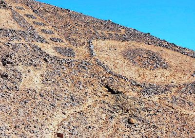 Tour Salitreras + Geoglifos de Pintados & El Tamarugal