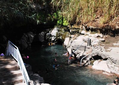 Tour Gran Oasis de Pica & Pueblos Salitreros