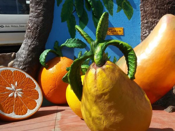 Tour Gran Oasis de Pica & Pueblos Salitreros