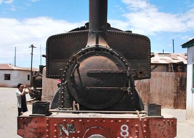 Tour Salitreras Humberstone & Santa Laura