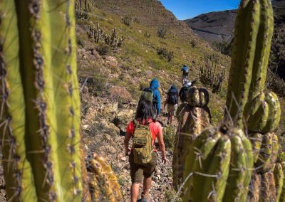 Tour Trekking Terapéutico Chusmiza