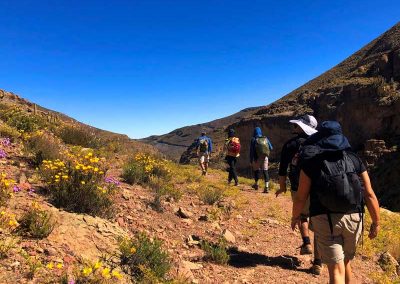 Tour Trekking Terapéutico Chusmiza